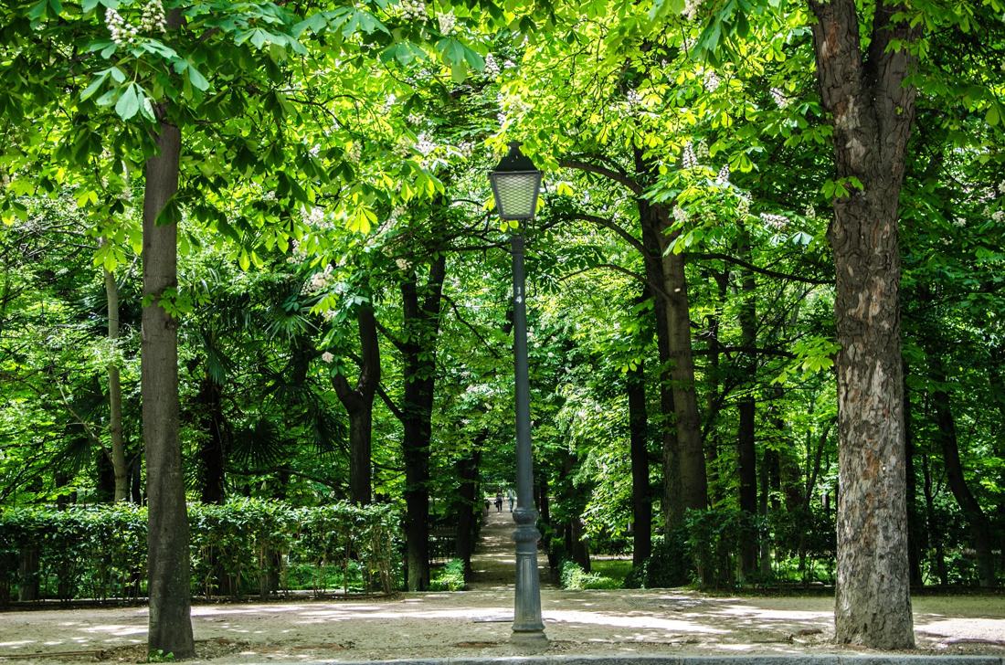 El parque El Retiro al natural., fotografía de Geo Aragón (Siguiendo al Conejo Blanco)