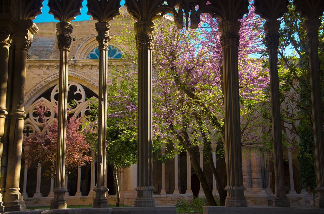Parece Hogwarts pero no lo es., fotografía de Geo Aragón (Siguiendo al Conejo Blanco)