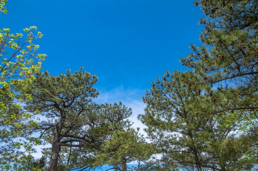Stone Mountian Park, fotografía de Geo Aragón (Siguiendo al Conejo Blanco)