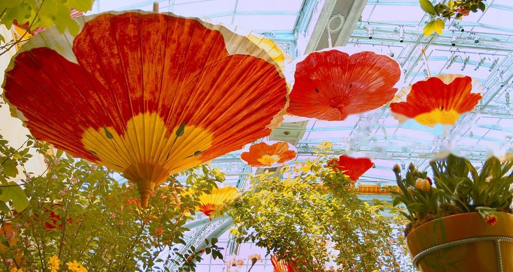 Garden, fotografía de Geo Aragón