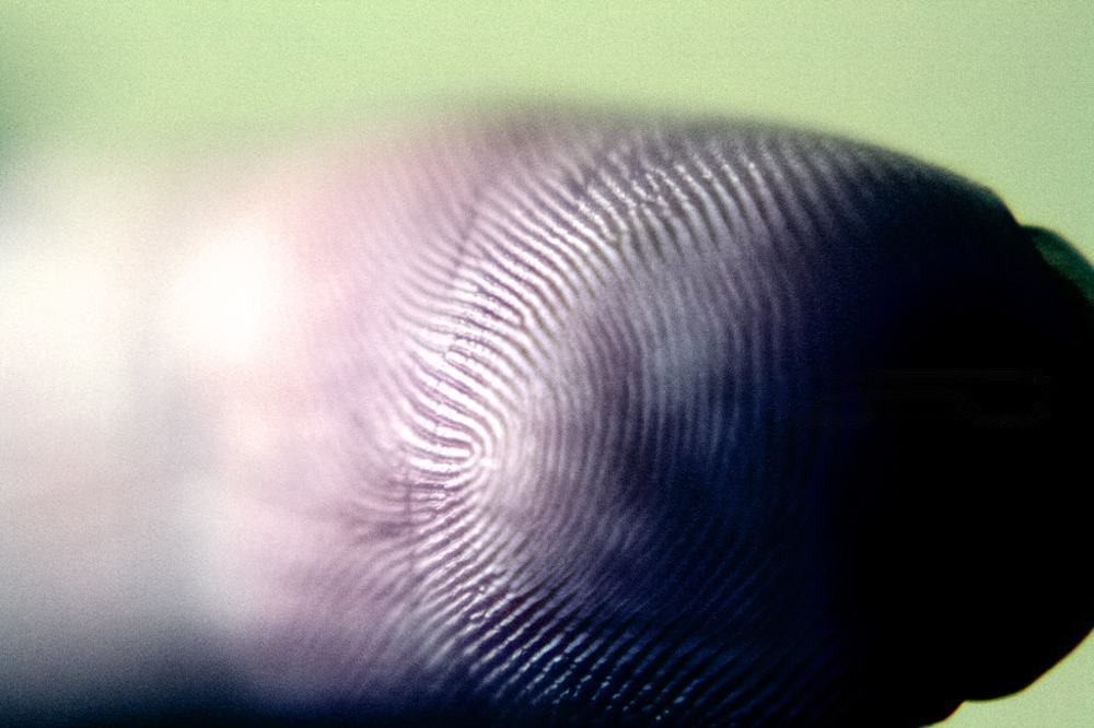 IN FOCUS 7, fotografía de Geo Aragón