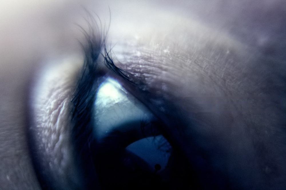 IN FOCUS 8, fotografía de Geo Aragón
